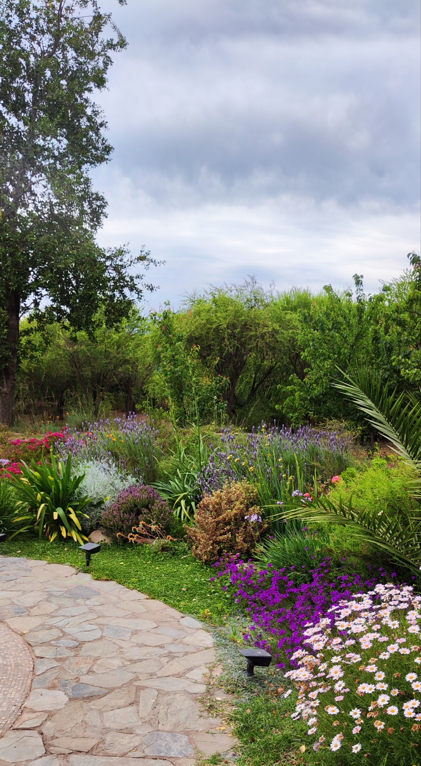 Curso de Jardinería Sostenible Online Jardín Climático Junio 2025 - Imagen 7