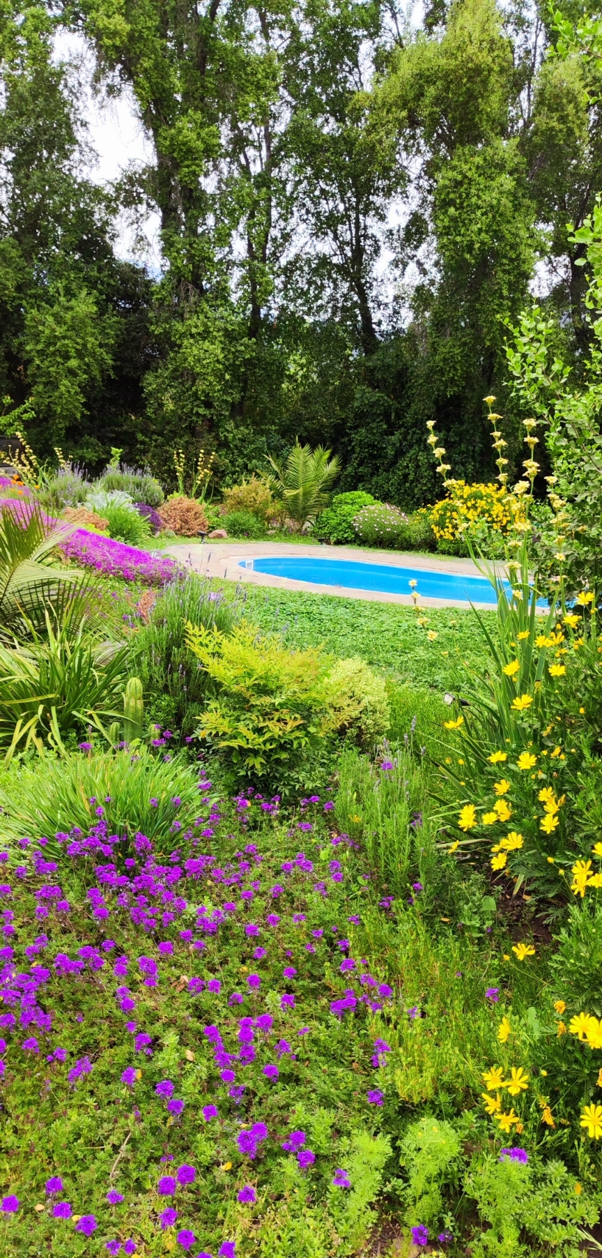 Curso de Jardinería Sostenible Online Jardín Climático Junio 2025 - Imagen 2