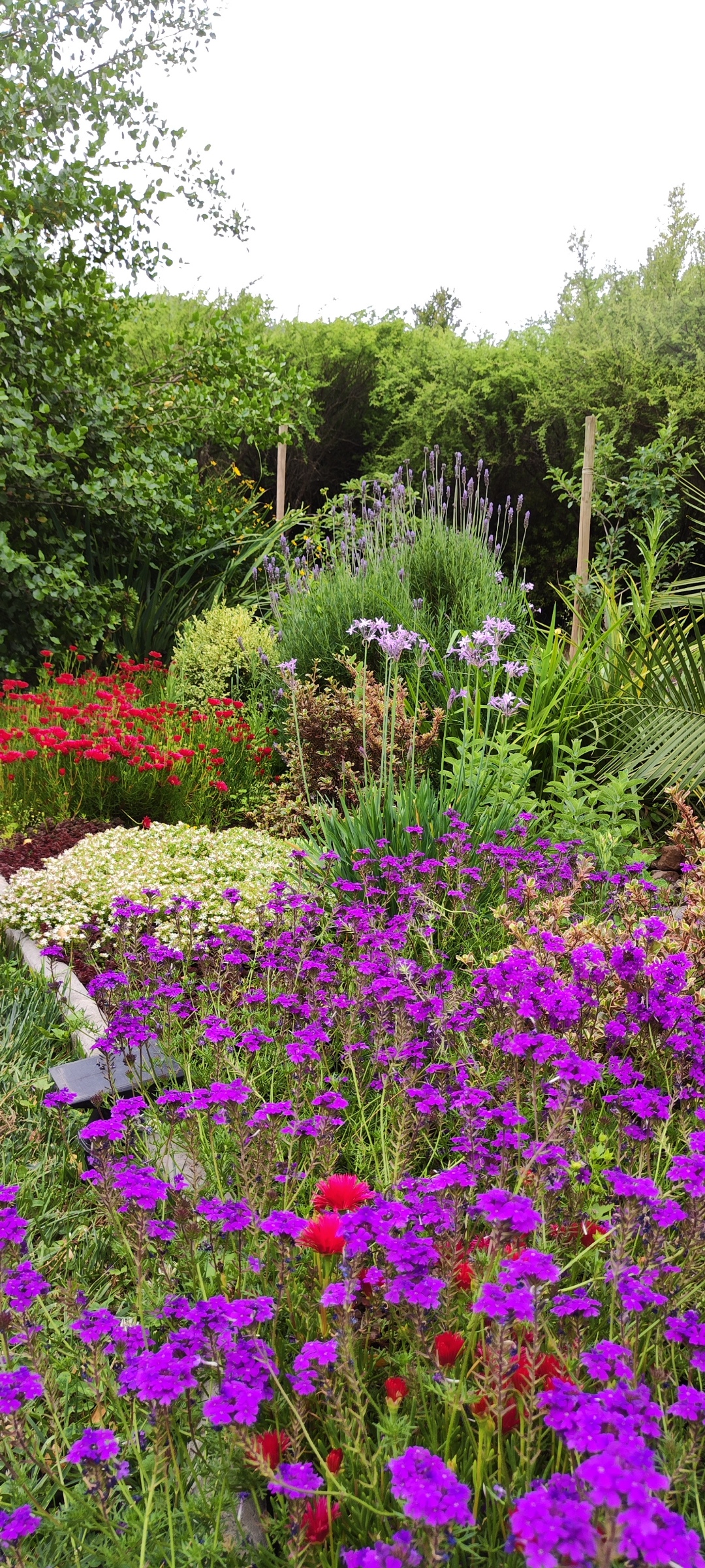 Curso de Jardinería Sostenible Online Jardín Climático Junio 2025 - Imagen 4